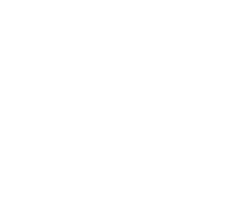 Boston Symphony Orchestra