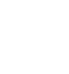 Dream-Org