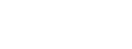 Witness